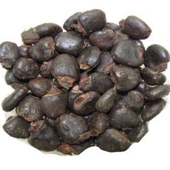 بلادر 50 گرم ( یبوست ، دفع انگل روده ،قند خون ، تنظیم عادت ماهانه )