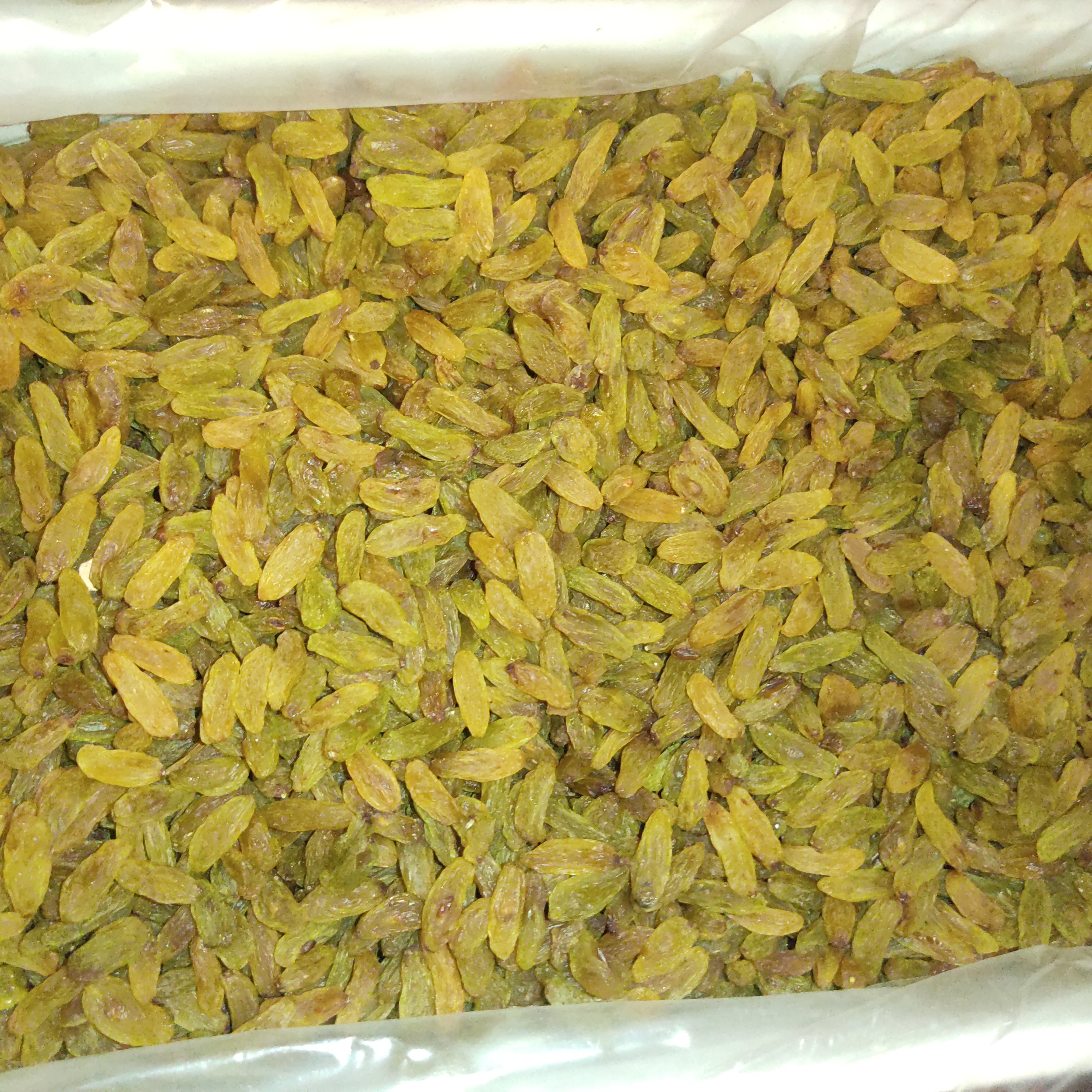 کشمش سبز امسالی درجه یک 500گرمی ، خشکبار