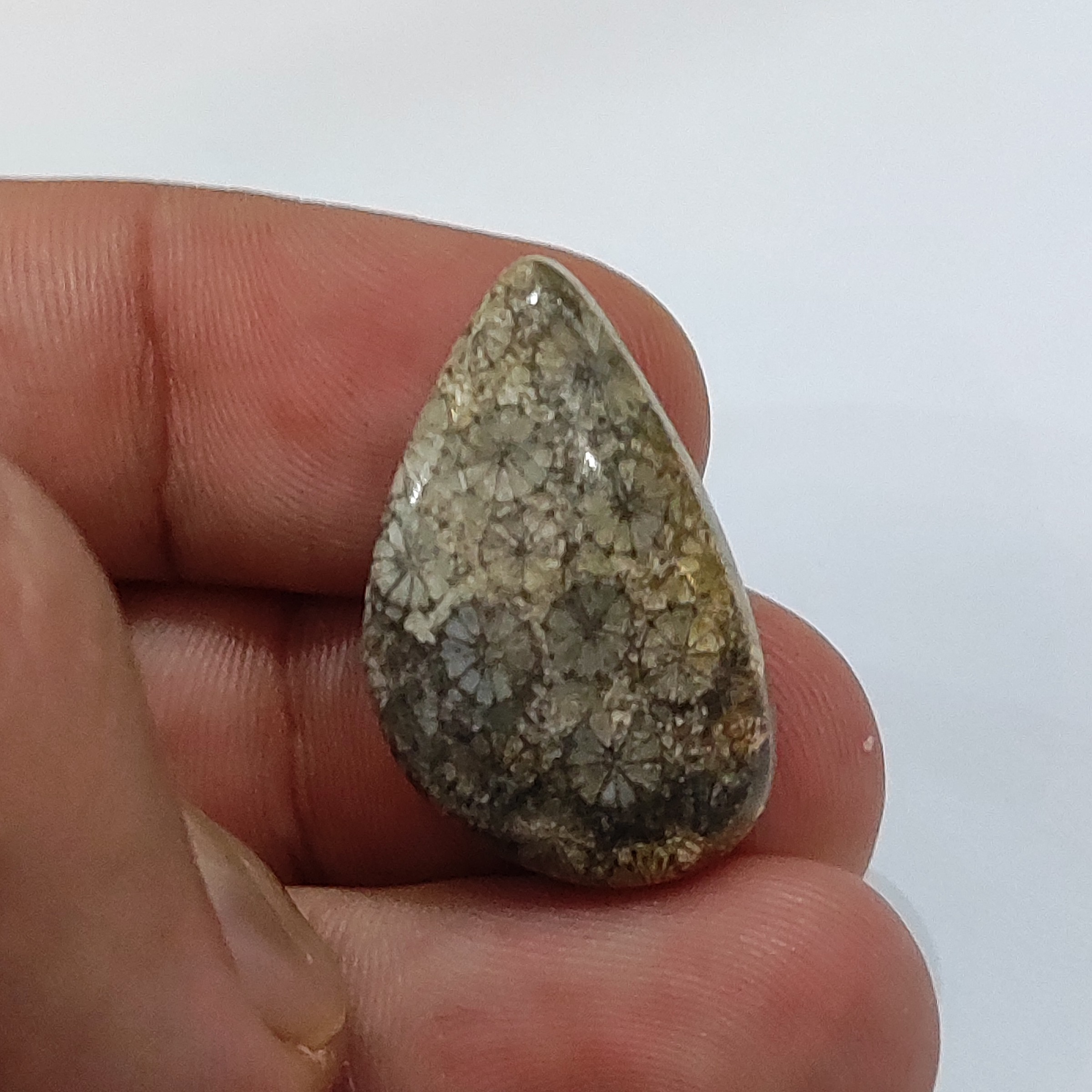 سنگ فسیل مرجان طبیعی و اصل با نقش عالی قدمت بالا  کلکسیونی کد b15