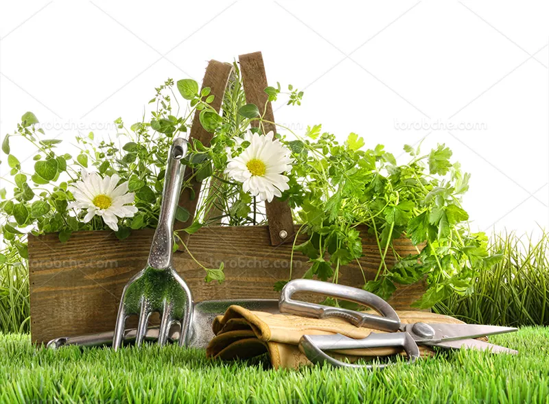 عکس گلدان و ابزار باغبانی | گرافیک با طعم تربچه