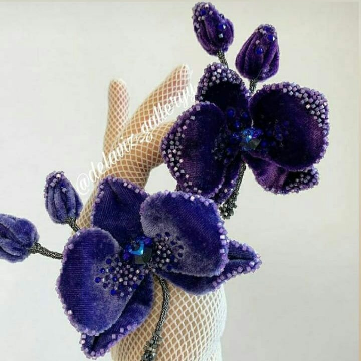 گلهای مخملی