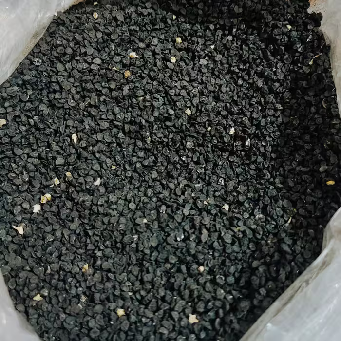 بذر پیاز ( 75 گرمی )