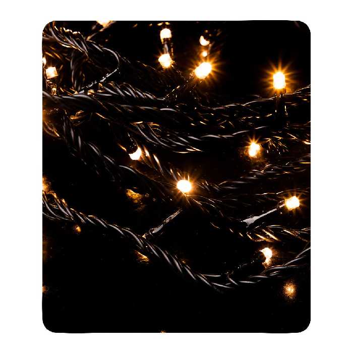 ریسه تزٍِيینی PL-100-10m