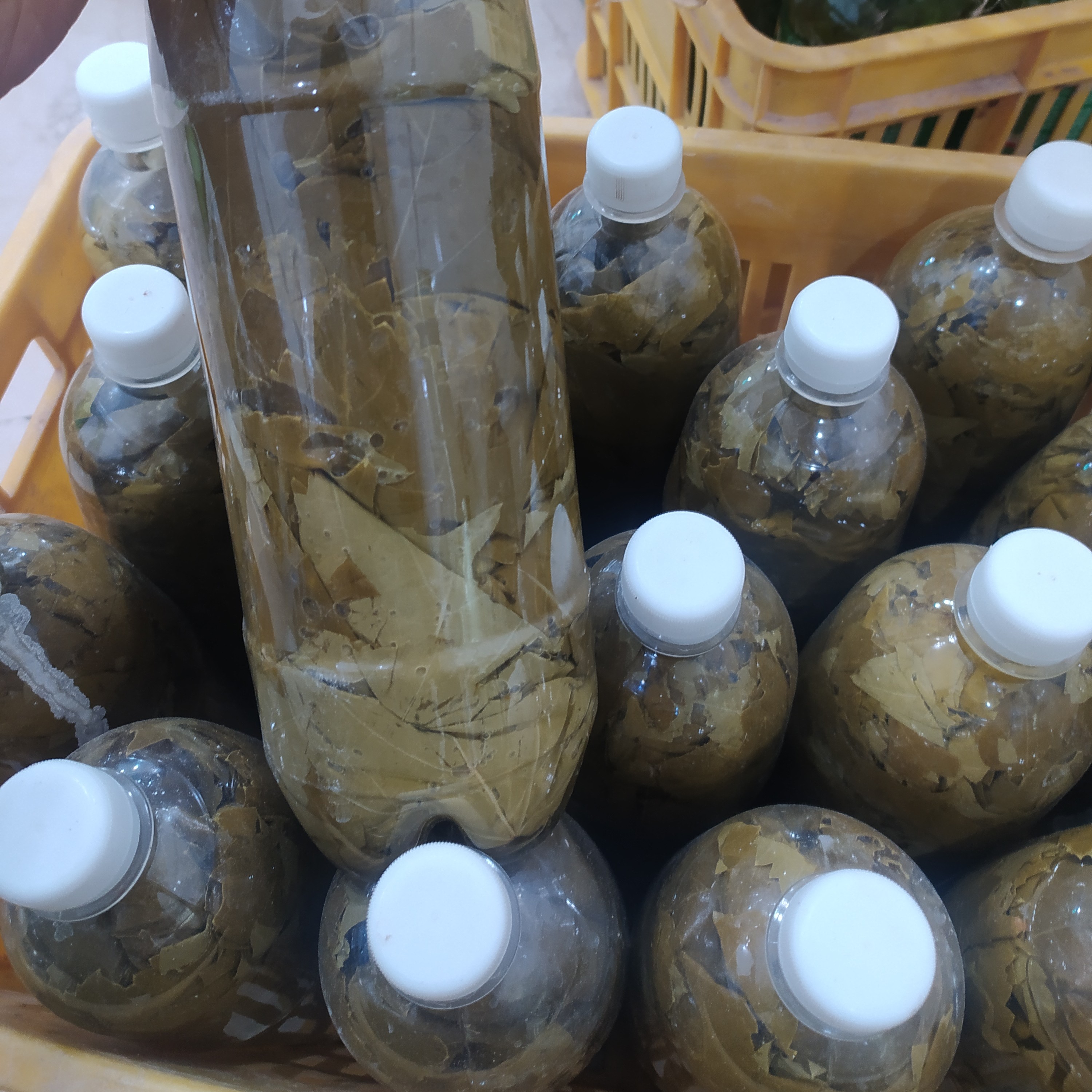 برگ مو نگهداری شده با نمک کم و سرکه