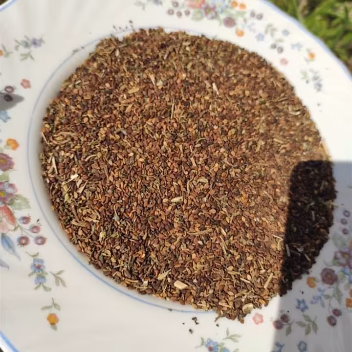 کنجد خام با سبوس