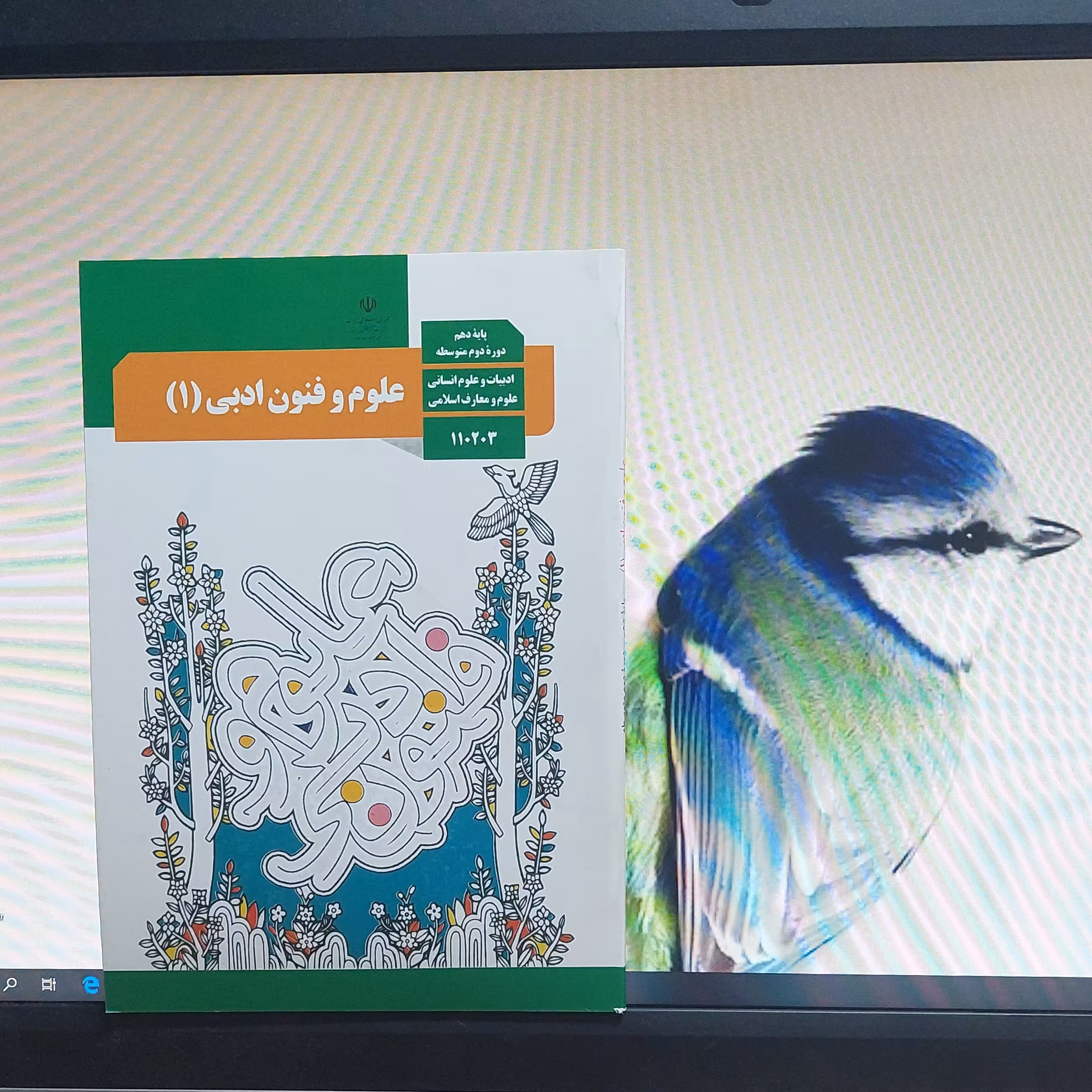 کتاب درسی علوم و فنون ادبی دهم انسانی چاپ 1399 - کپی سیاه سفید