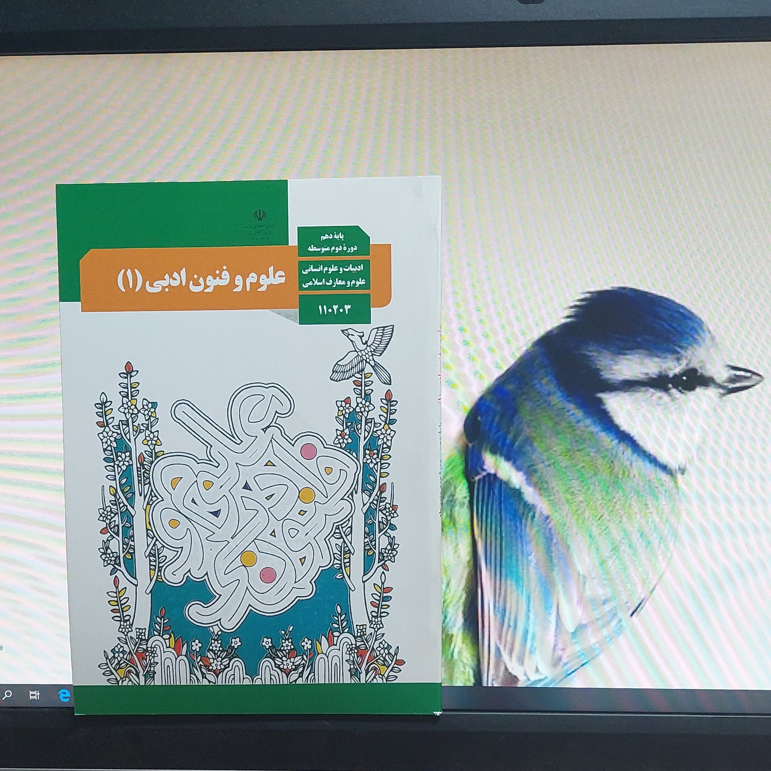 کتاب درسی علوم و فنون ادبی دهم انسانی چاپ 1399 - کپی سیاه سفید