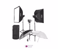 کیت سه شاخه فلاش استودیویی گودکس Godox MS300