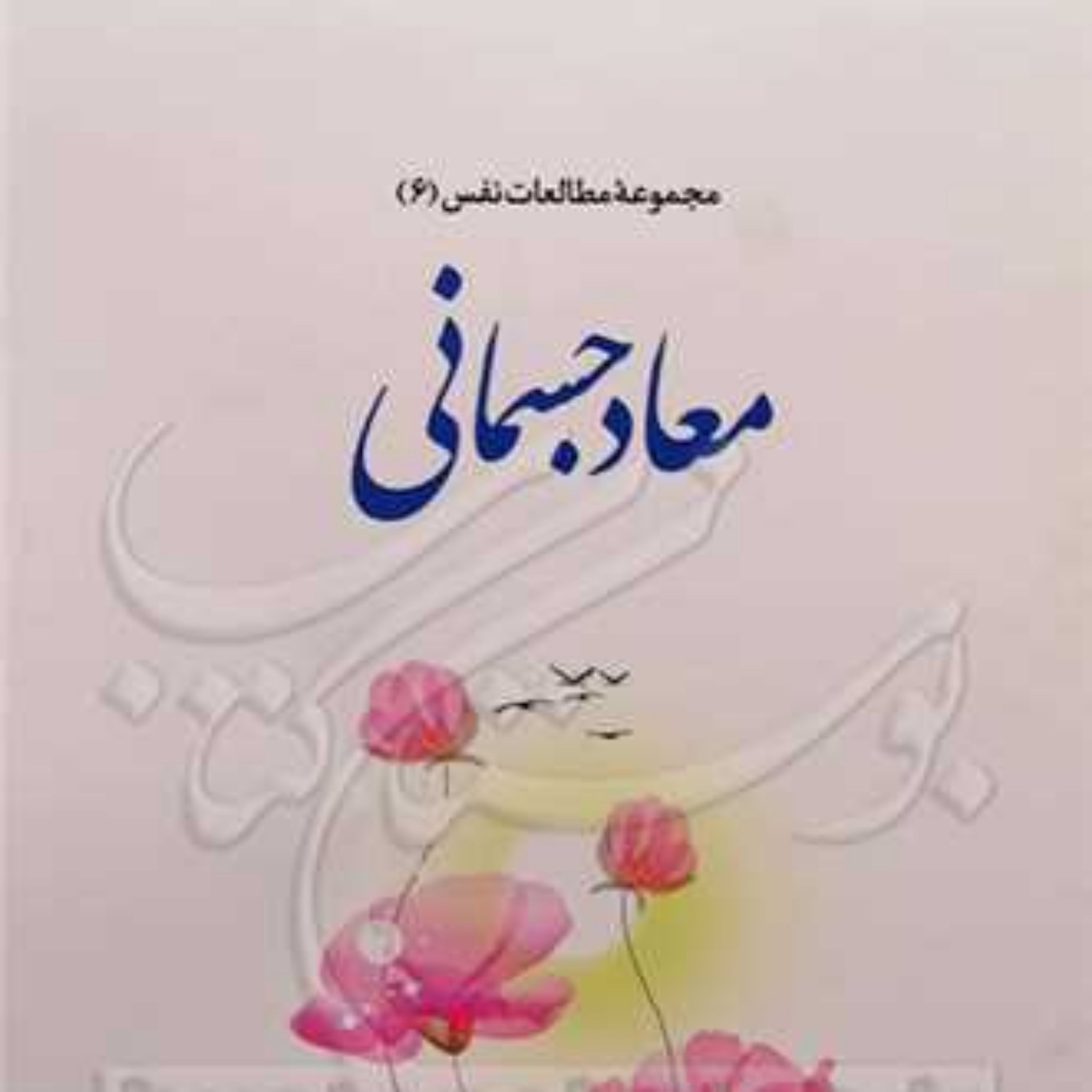 کتاب مجموعه مطالعات نفس 6 معاد جسمانی