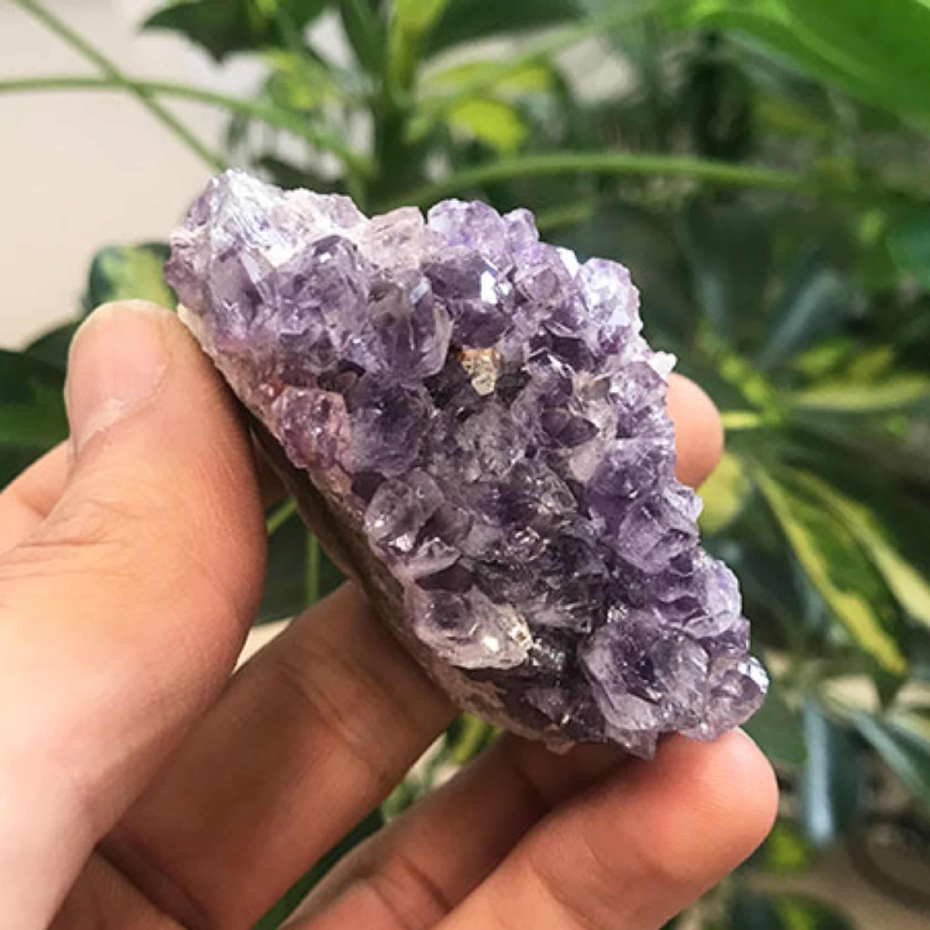 انواع راف سنگ آمتیست