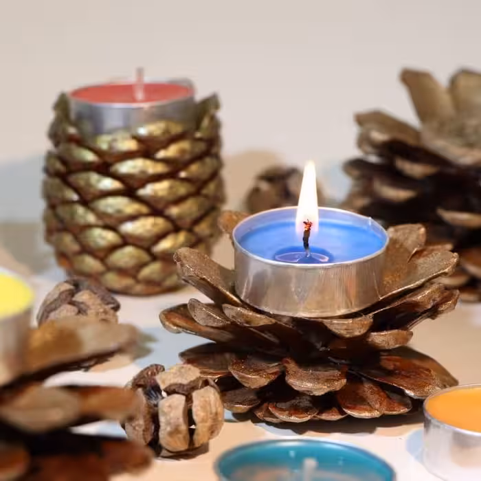 وارمر یک عددی در طرح های متنوع همراه با شمع