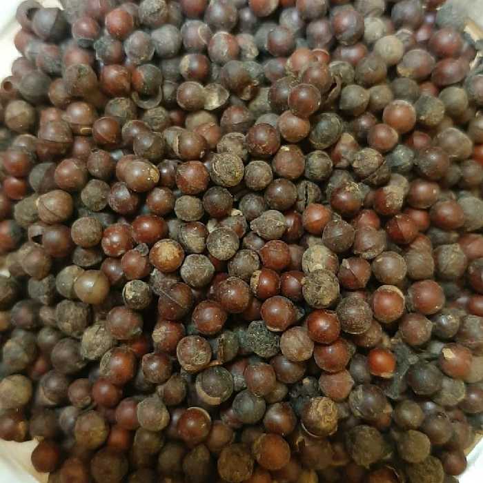 کبابه چینی (حب العروس) 4 کیلویی