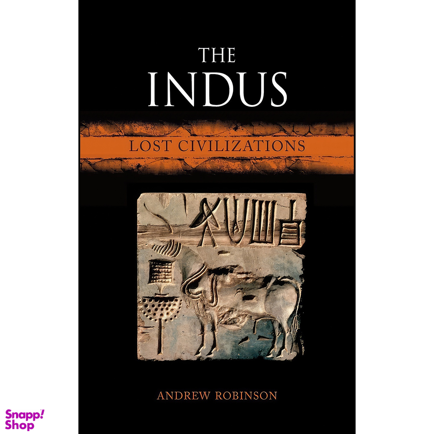 کتاب The Indus اثر Andrew Robinson انتشارات Reaktion Books