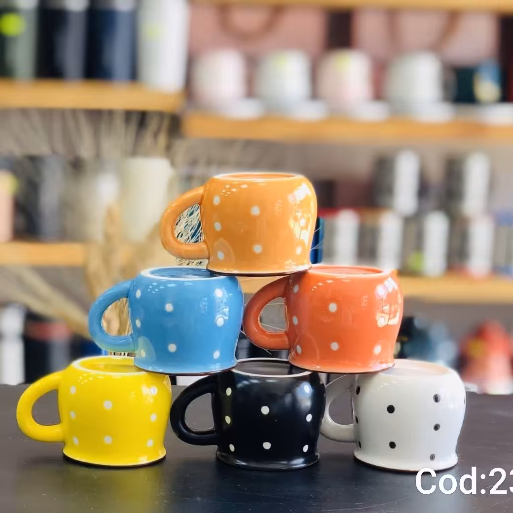 شات سرامیکی رجینال
