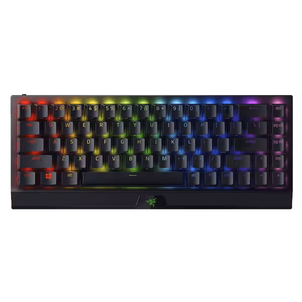 کیبورد گیمینگ ریزر Razer BlackWidow V3 Mini