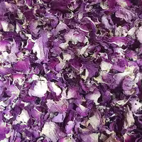 گل محمدی گلزار (برگ)