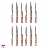 کارد میوه خوری دی ام جی مدل NICE-T بسته 12 عددی