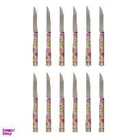 کارد میوه خوری دی ام جی مدل NICE-T بسته 12 عددی