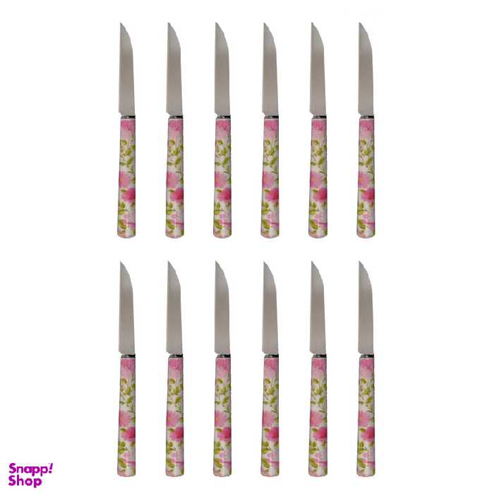 کارد میوه خوری دی ام جی مدل NICE-T بسته 12 عددی