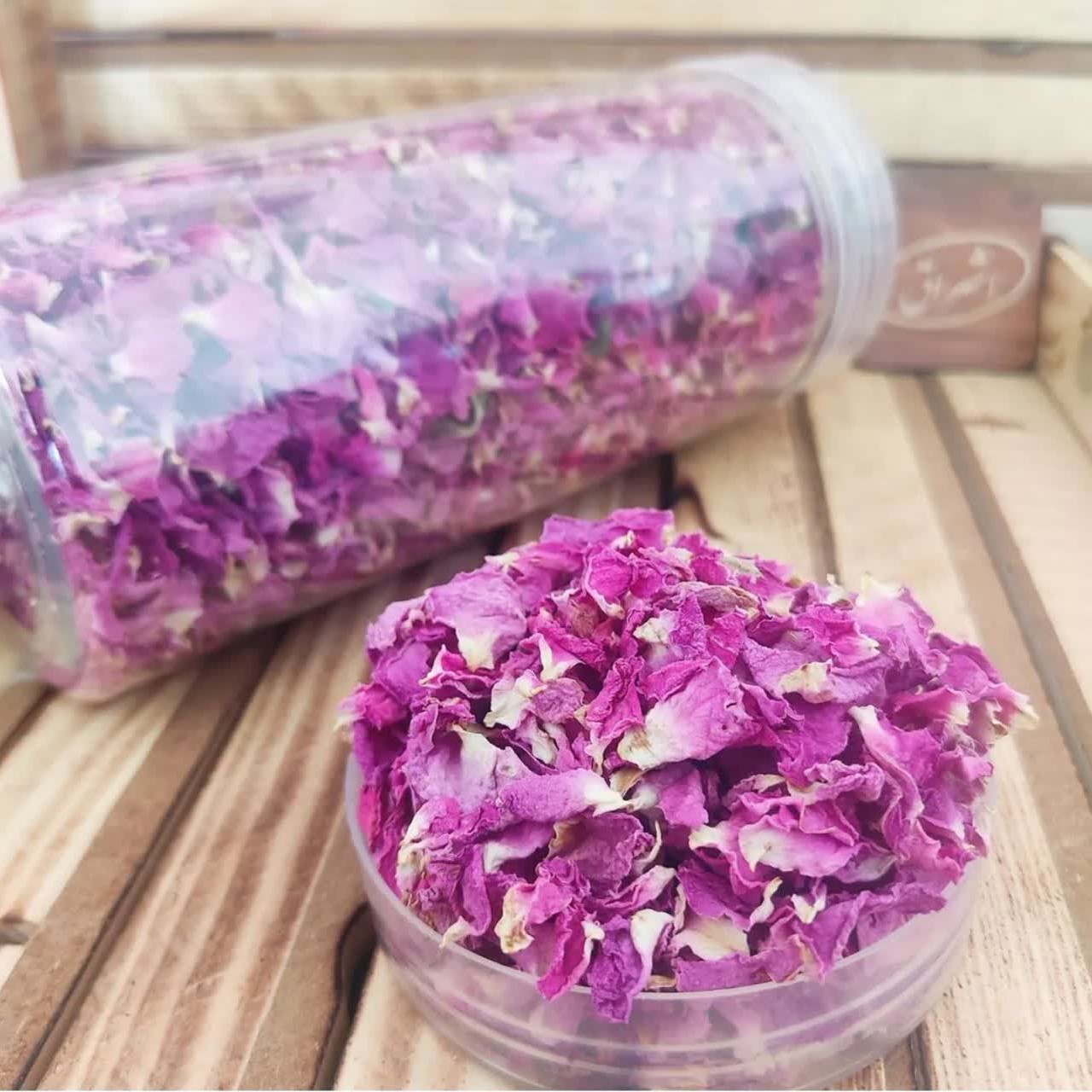 پر گل محمدی 