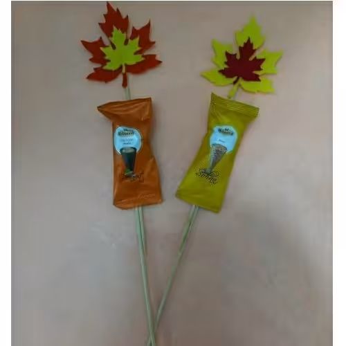 گیفت شکلات شاخه ای(5تایی)