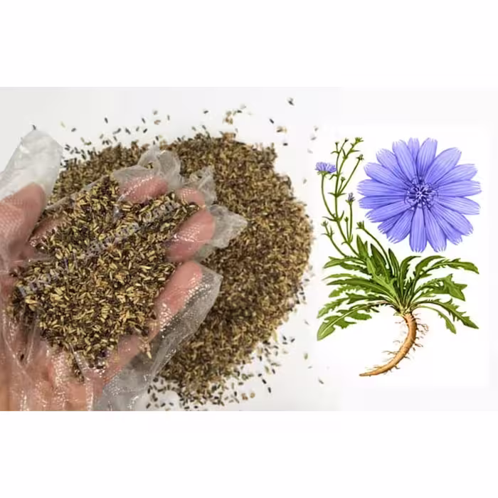 تخم کاسنی 100 گرم 