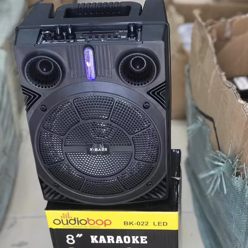 اسپیکر قابل حمل مدل Bk-022 هشت اینچی