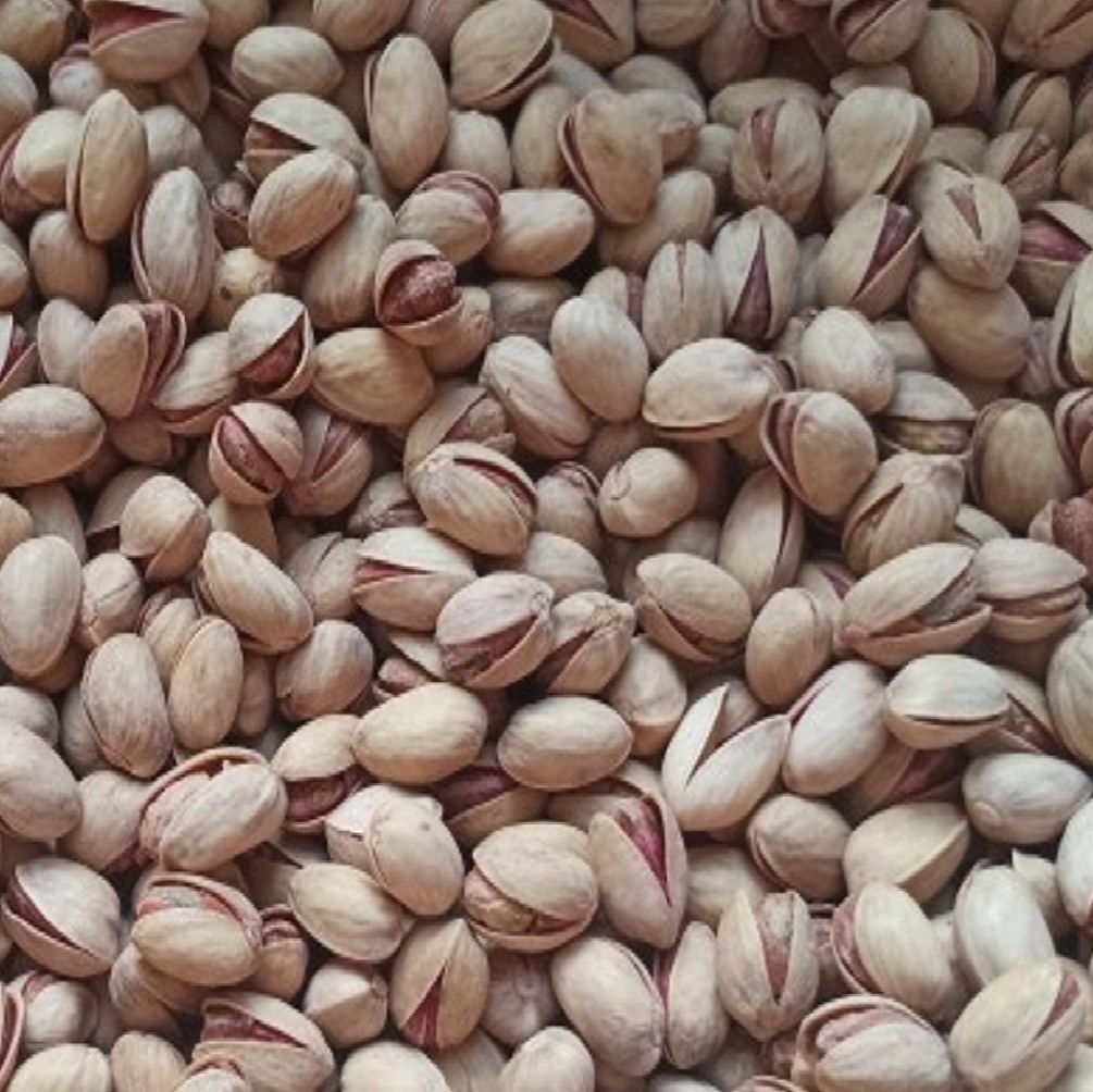 پسته فندقی خام ارگانیک و تمام خندان بسته یک کیلو گرمی(ارسال رایگان)