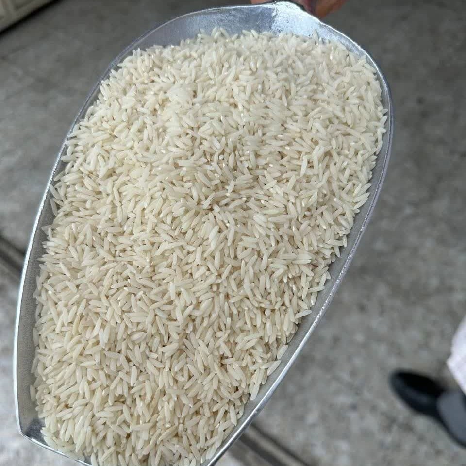برنج طارم هاشمی اصیل مازندران در بسته 10 کیلویی خالص و درجه یک