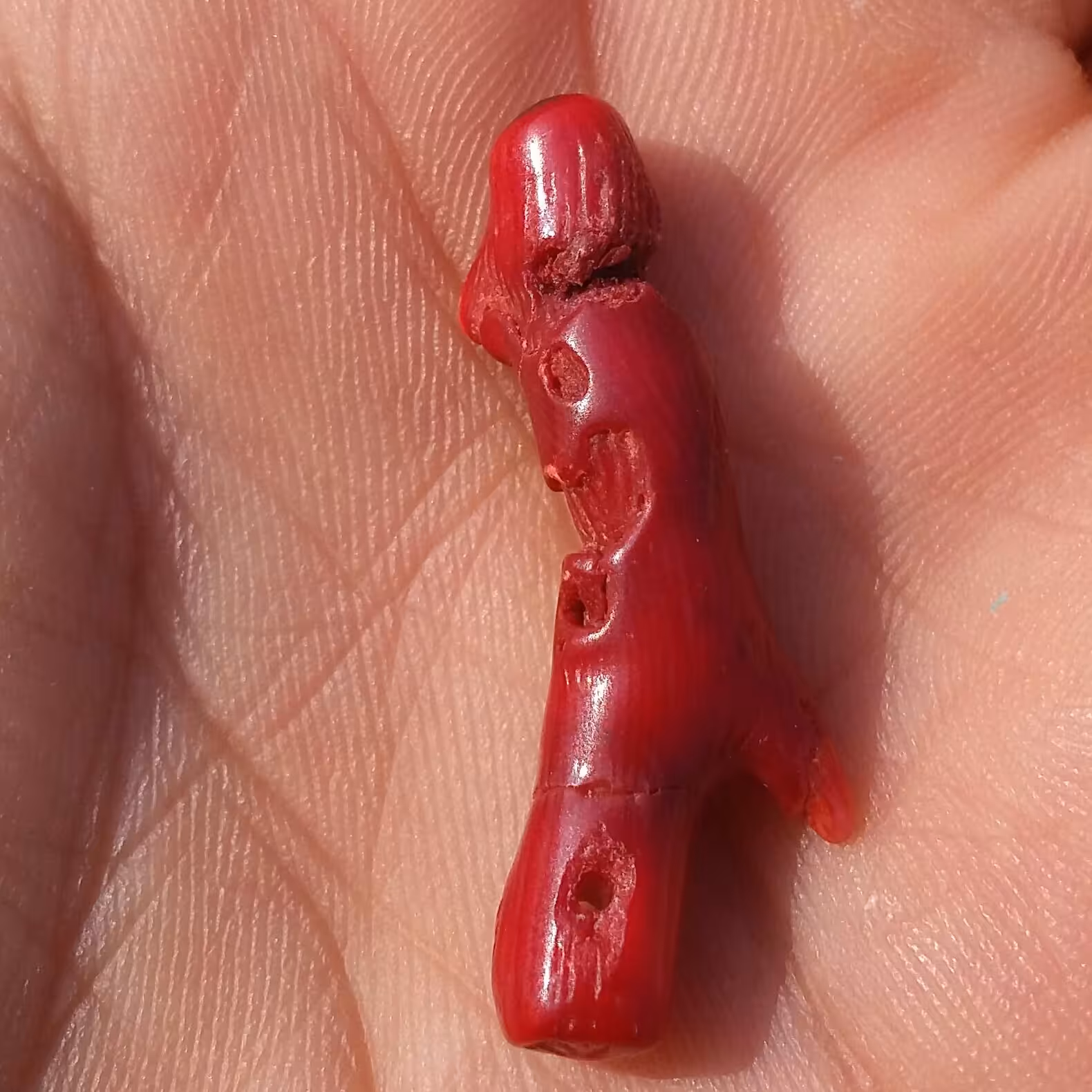 سنگ مرجان سرخ سوراخ دار مناسب آویز شاهکار خلقت بی نظیییر
کد 8730