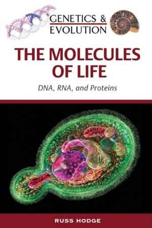 [PDF] دانلود کتاب The Molecules Of Life - Dna, Rna, And Proteins, 2009