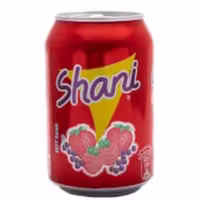 نوشابه شانی shani 300 میل 24 عددی