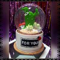 گوی موزیکال کاکتوسی