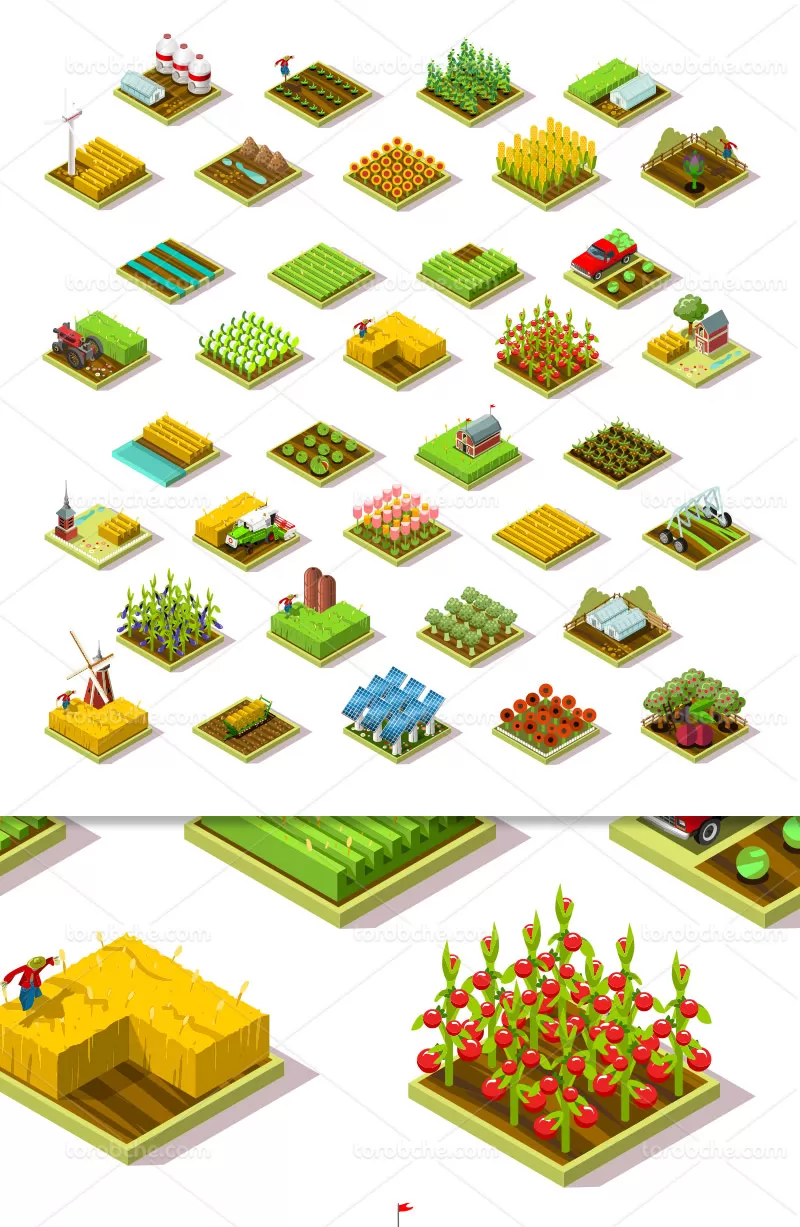 وکتور ایزومتریک زمین کشاورزی | گرافیک با طعم تربچه