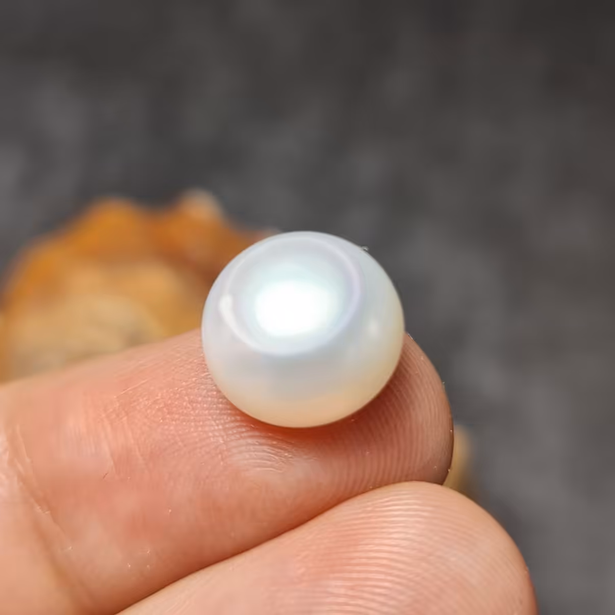 نگین فوق العاده زیبای مروارید اعلا مناسب انگشتر
کد  28144