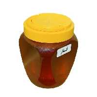 عسل کنار ممتاز فدک (500 گرم با بسته بندی)