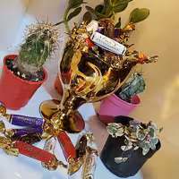 شکلات مدادی ناتاشا آچاچی مخلوط چند طعم از بهترین طعم های کاکائویی شیرین تا تلخ