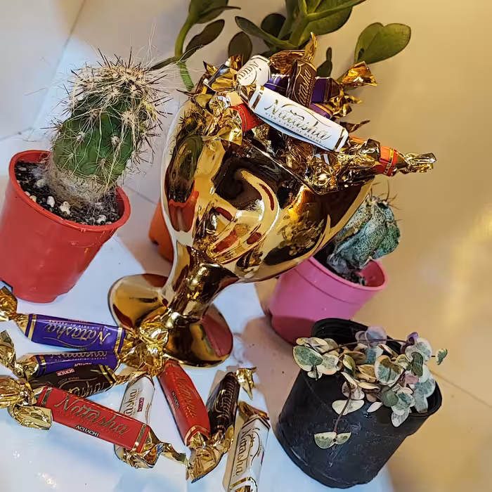 شکلات مدادی ناتاشا آچاچی مخلوط چند طعم از بهترین طعم های کاکائویی شیرین تا تلخ