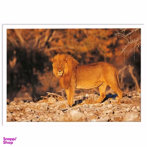 تابلو بکلیت طرح حیات وحش و شیر مدل W-S1442