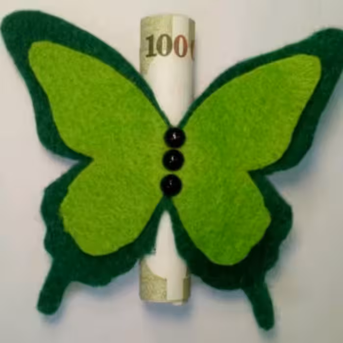 گیفت عیدغدیر نمدی مدل پروانه