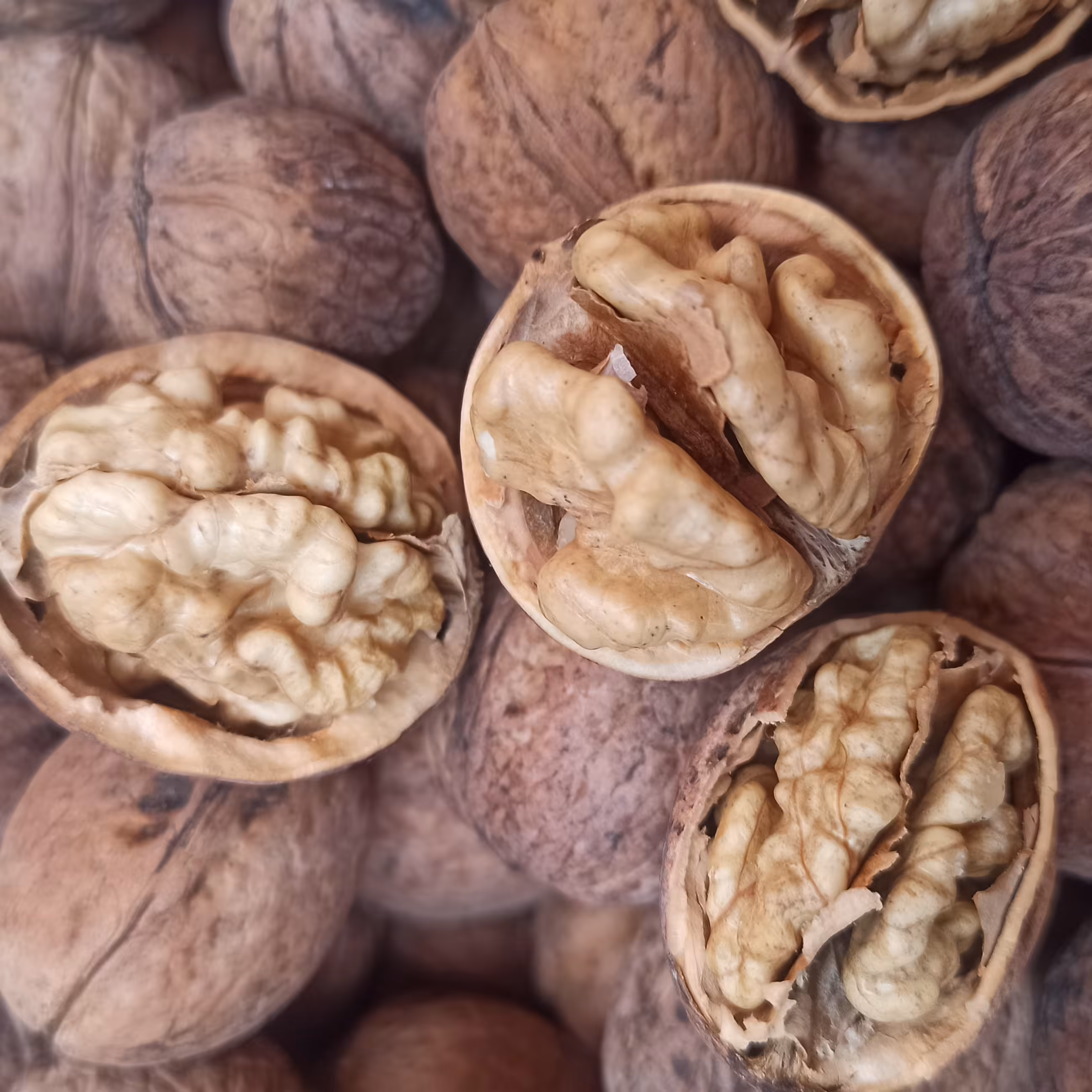 گردو ارگانیک مراغه خوشمزه سفید پوست کاغذی  900 گرمی