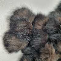 شال گردن وارداتی صد در صد طبیعی از پوست خرگوش سایز متوسط 