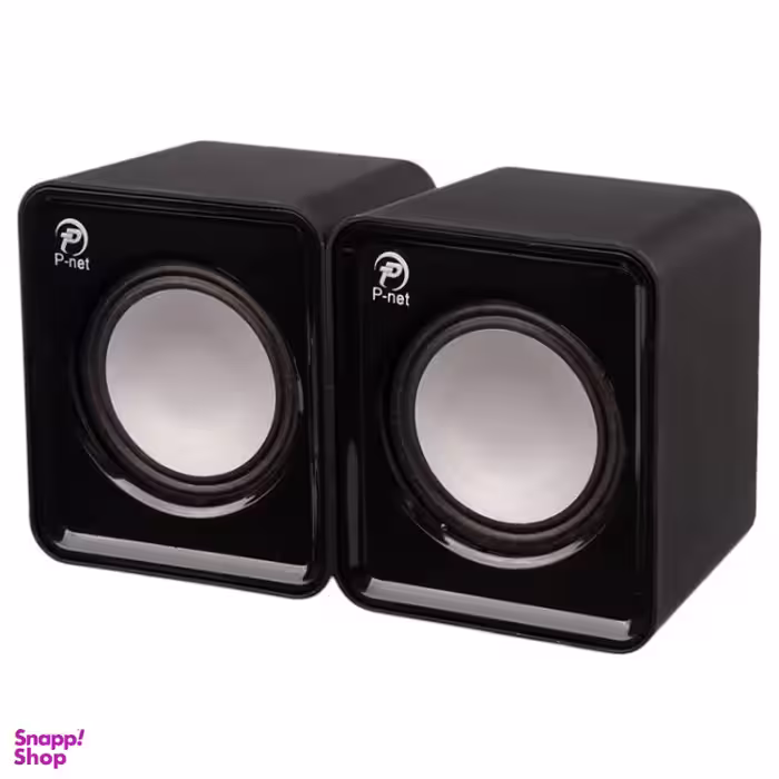 اسپیکر دسکتاپ پی نت مدل V310