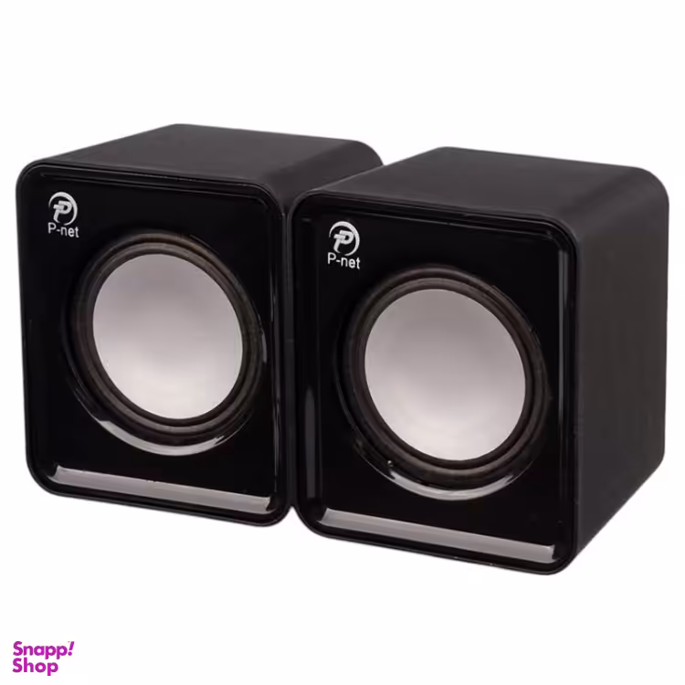 اسپیکر دسکتاپ پی نت مدل V310