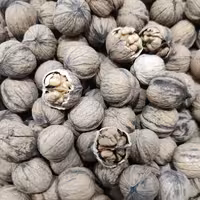 گردو پوست کاغذی درجه یک بجنورد (یک کیلویی)