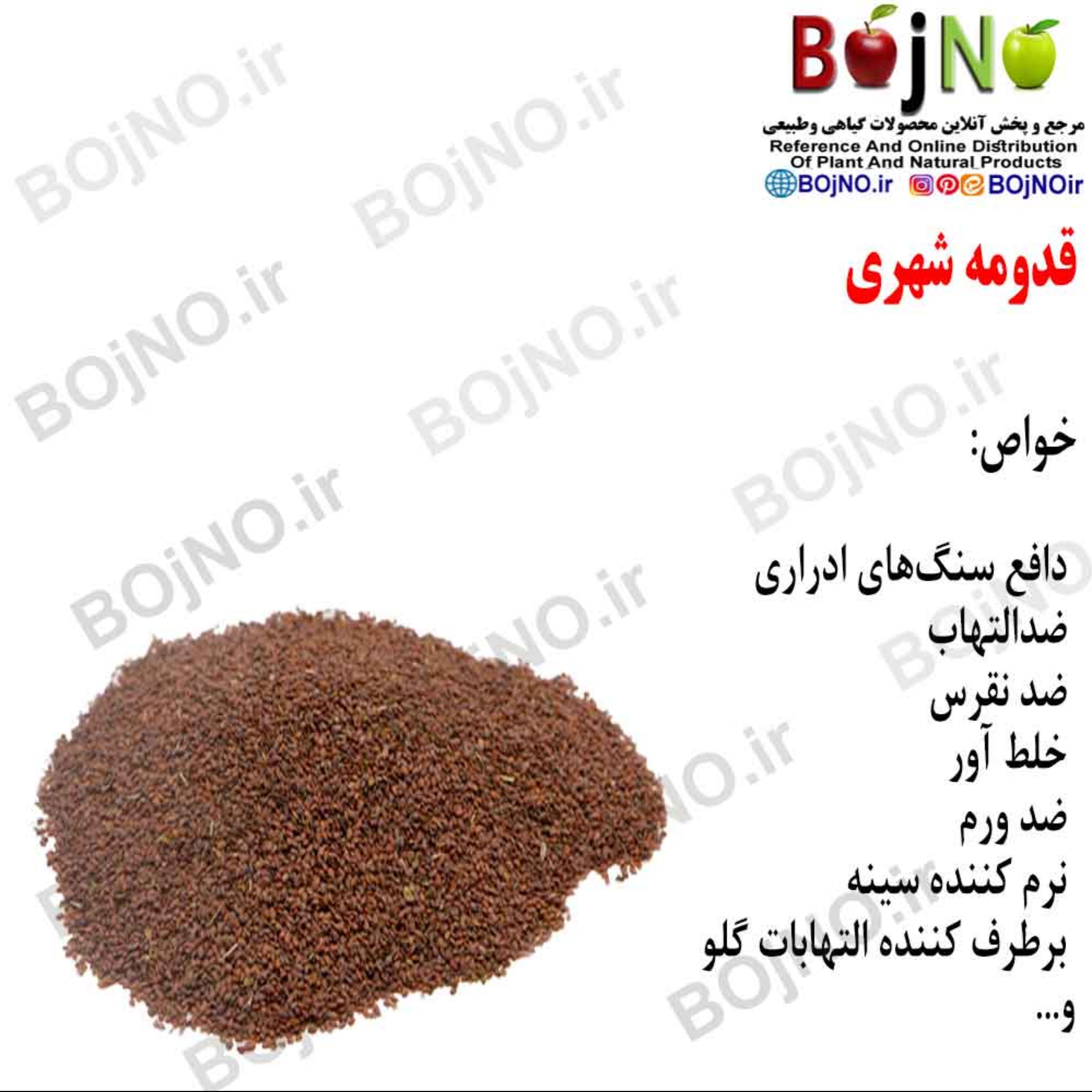 قدومه شهری (بسته 50گرمی)