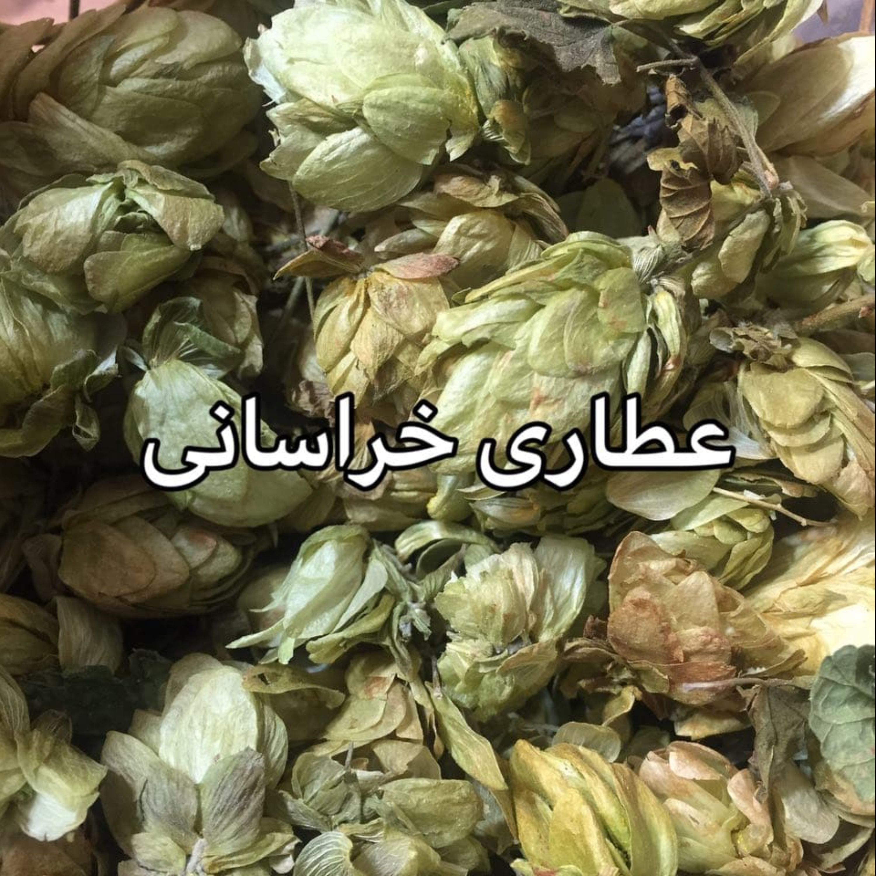 گل رازک تمیز امسالی 110 گرمی بدون خاکه