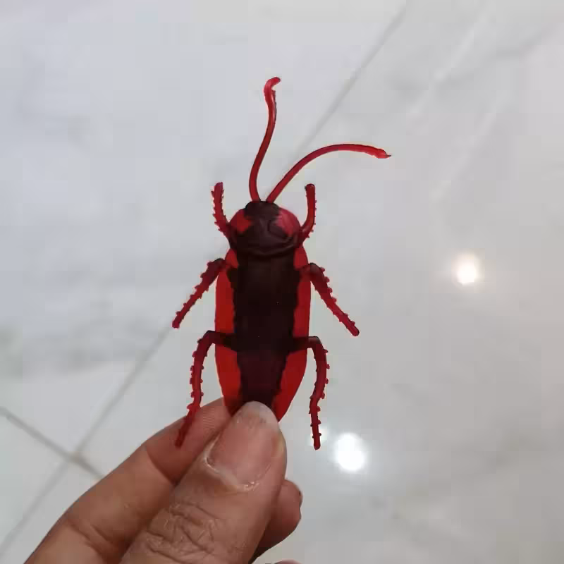 اسباب بازی سوسک پلاستیک