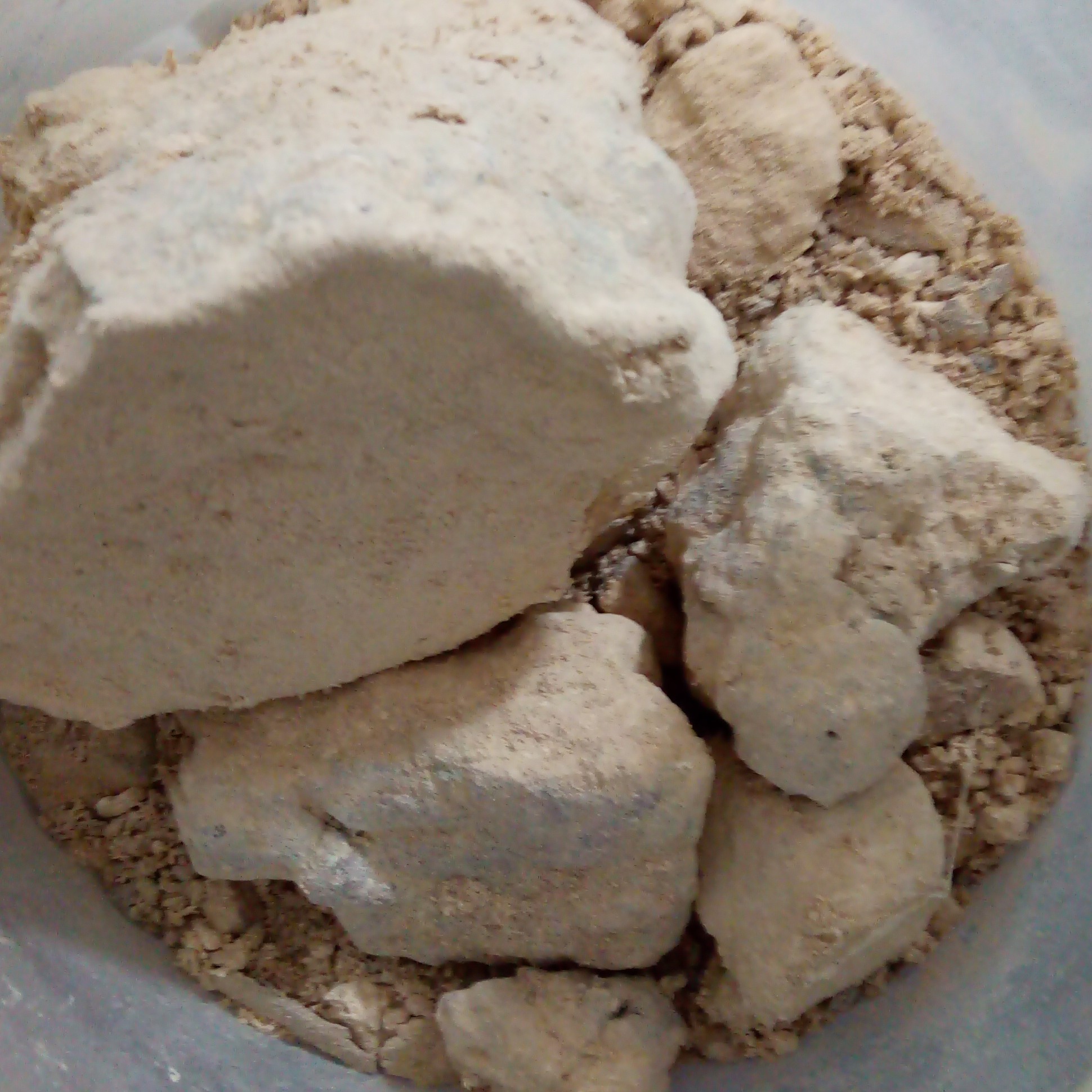 گیاه قاریقون 10 گرمی