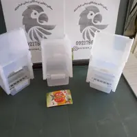دانخوری ایتالیایی 